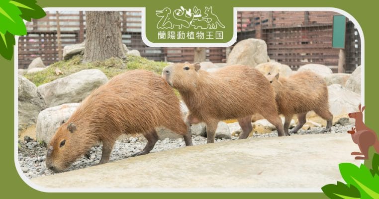 蘭陽動植物王國