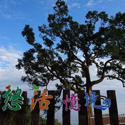 懶人露營 免裝備