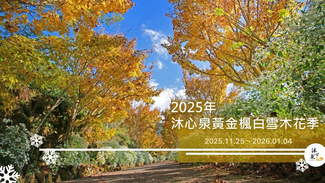 黃金風鈴木 台中賞花首選!沐心泉休閒農場最完整旅遊資訊與夕陽觀賞指南 1 581928613 816854730988845 5980170218491665522 n
